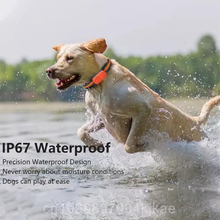EN STOCK - Collier GPS 4G étanche pour animaux de compagnie - Anti-vol - Anti-perte pour chien et chat - Avec