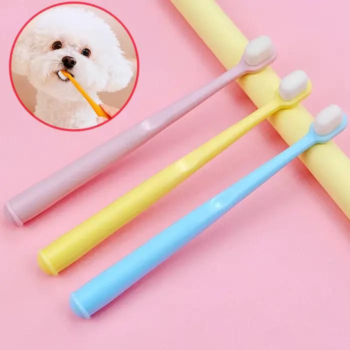Brosse à dents pour animaux de compagnie nettoyage