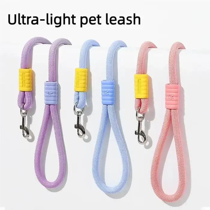 Laisse pour chien, laisse de marche pour animaux de compagnie