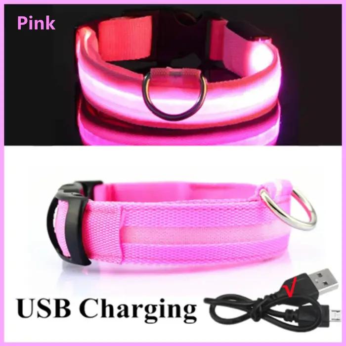 Collier lumineux LED réglable pour chien