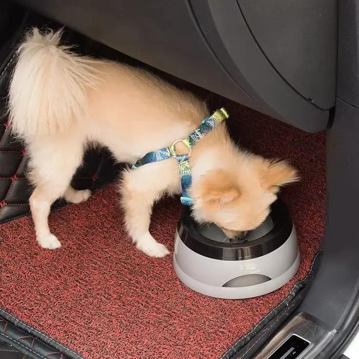 Bols flottants pour chiens de compagnie