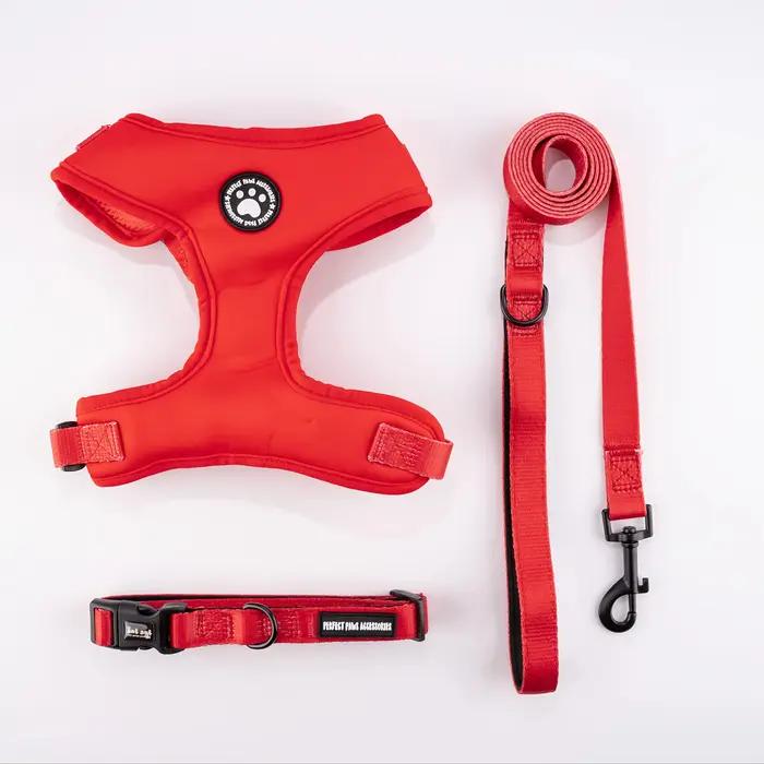 Fournitures pour animaux de compagnie pour chiens