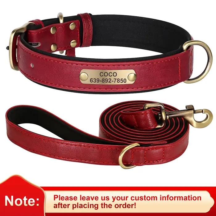 Collier d'identification de chien personnalisé avec laisse