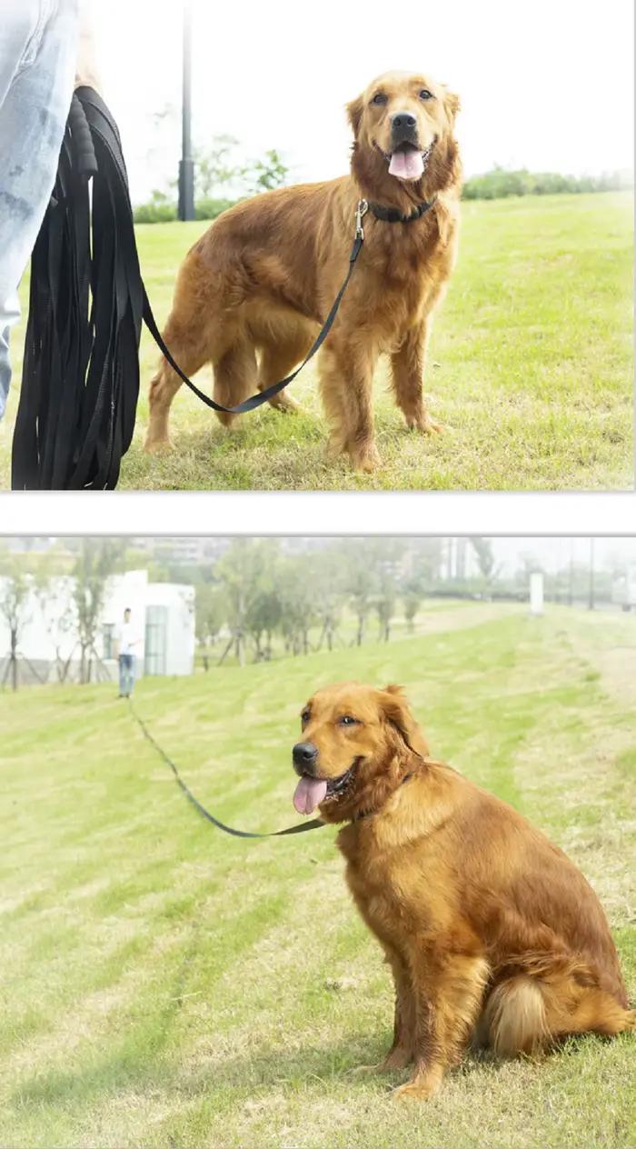 Laisse longue en nylon avec poignée en éponge confortable pour chiens, lanière d'entraînement en ple