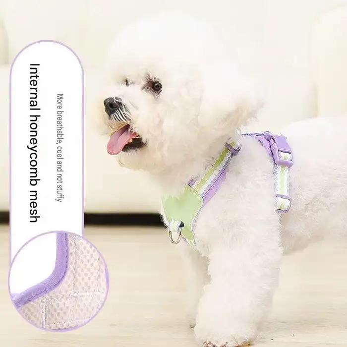 Harnais pour chien/animal de compagnie anti-traction avec collier