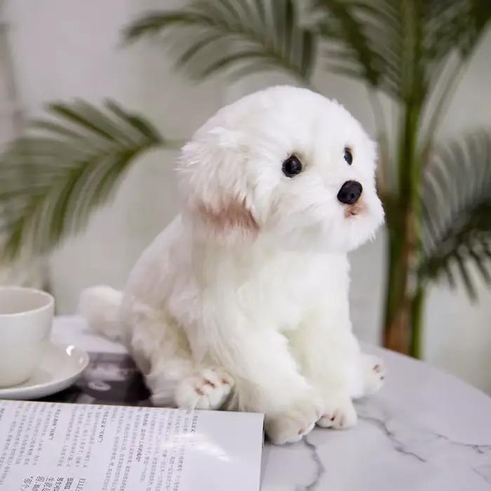 Jouet en peluche chien maltais réaliste de haute qualité, Animal de dessin animé doux, poupée en peluche, décoration de la maison, cadeau d'anniversaire