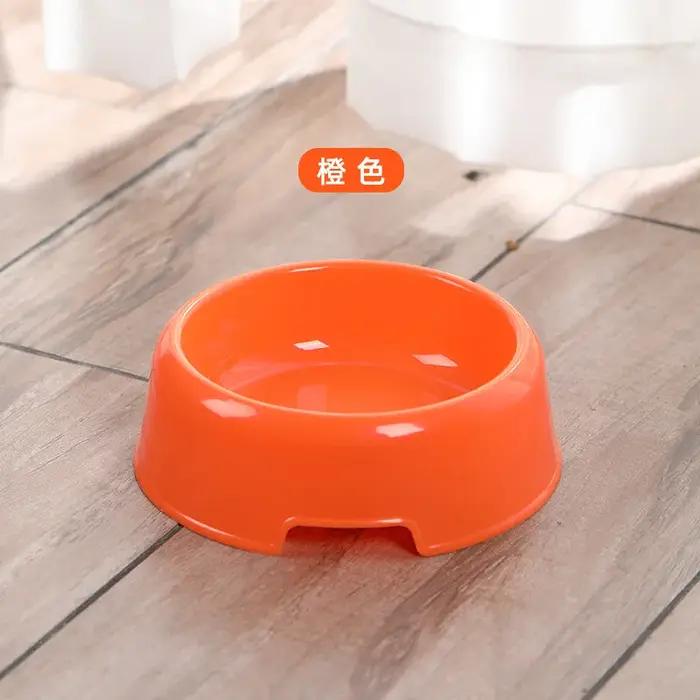Bol pour chien, bols d'alimentation pour chien