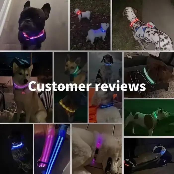 Collier de chien lumineux LED réglable clignotant Rechargea