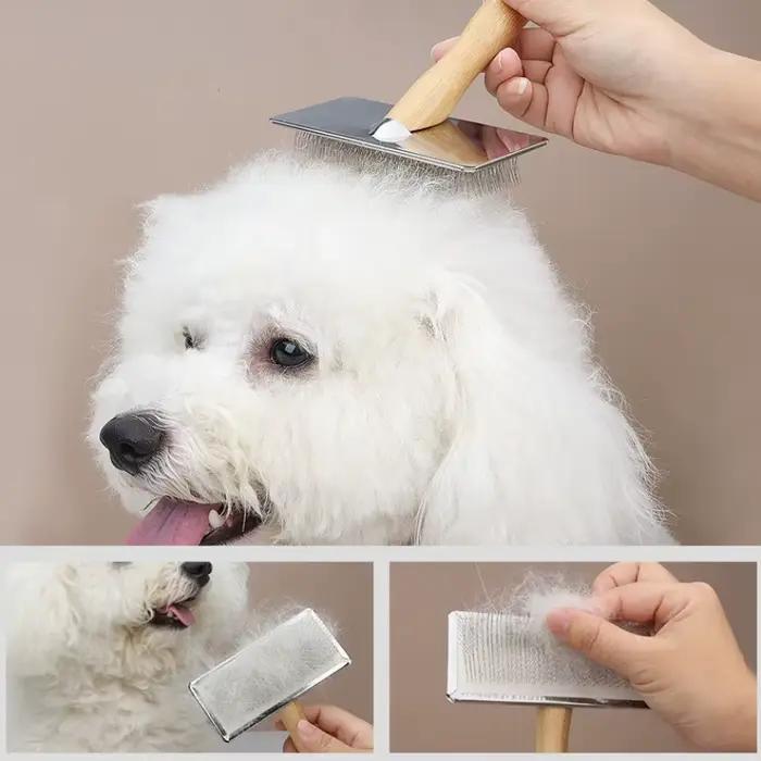 Peigne pour chien, brosse en bois massif pour chien, épilateur de poils d'animaux, brosse de Massage