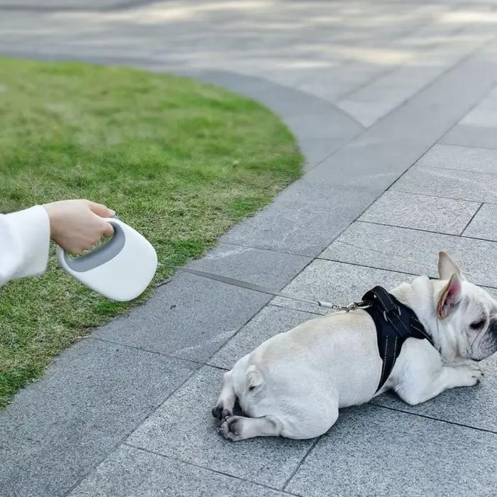 Laisse de marche Flexible pour chien