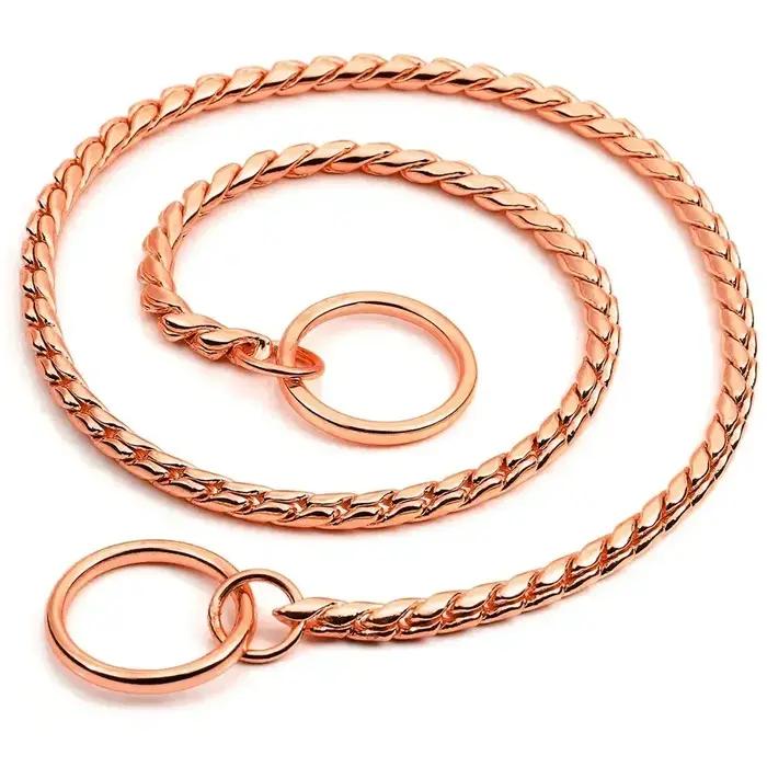 Collier ras du cou en forme de serpent pour chien