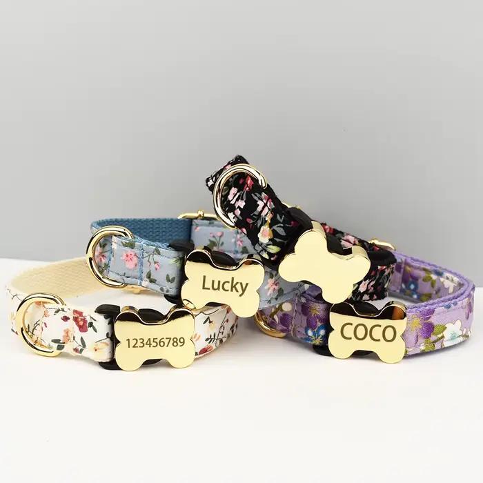 Collier pour chien de taille moyenne à grande