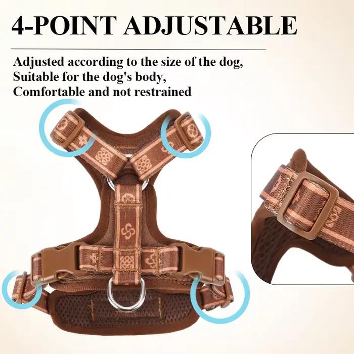 1 - Harnais classique pour chien de compagnie