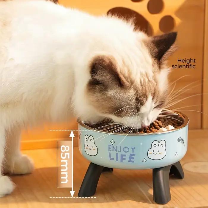 Bol de nourriture surélevé pour animaux de compagnie