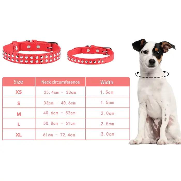 Collier anti-morsure pour chien