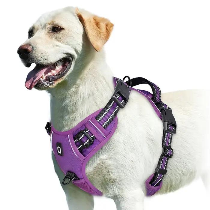 Chien sans côtes SFP, glaçure douce rembourrée réglable pour animaux de compagnie