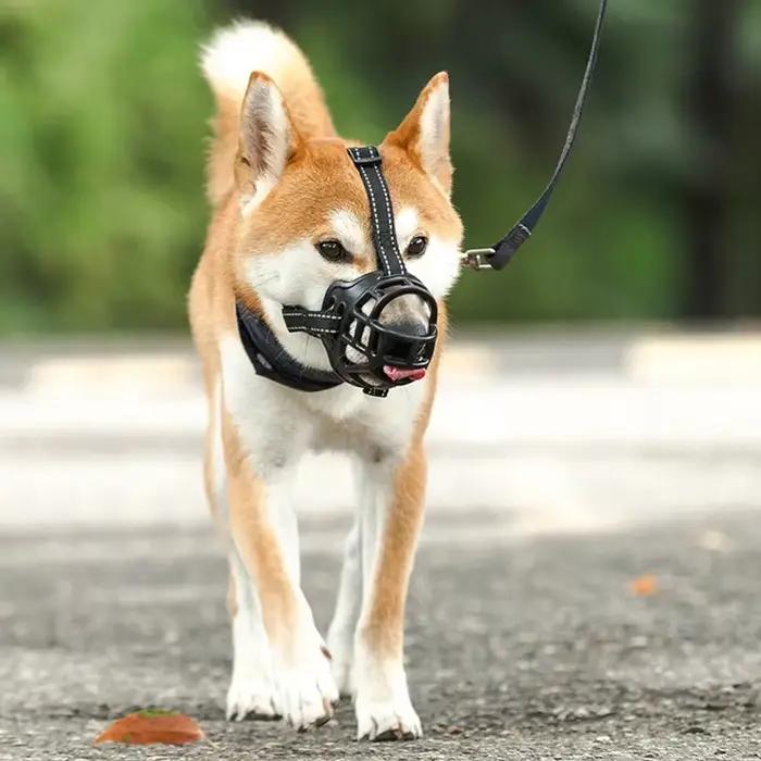 Panier réglable et respirant pour chiens de petite