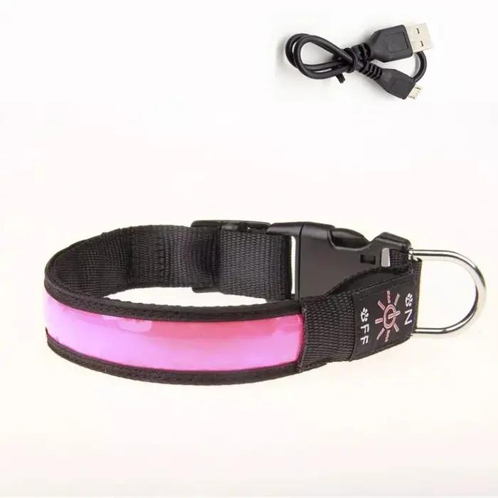 Collier lumineux LED pour chien
