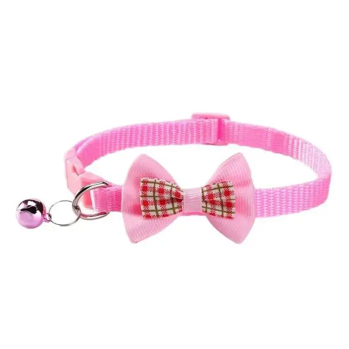 Collier pour chien mignon