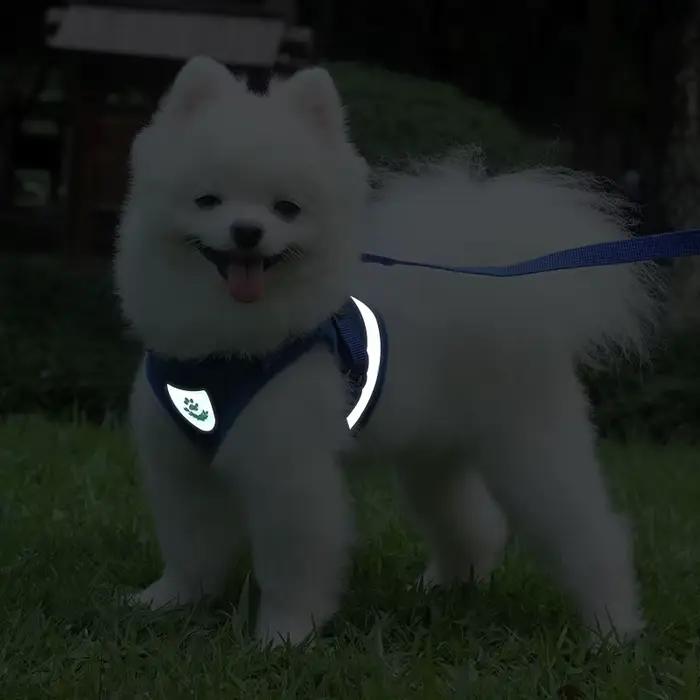 Ensemble d'été harnais et laisse pour chien, harnais en maille réfléchissante pour petits chiens, Co