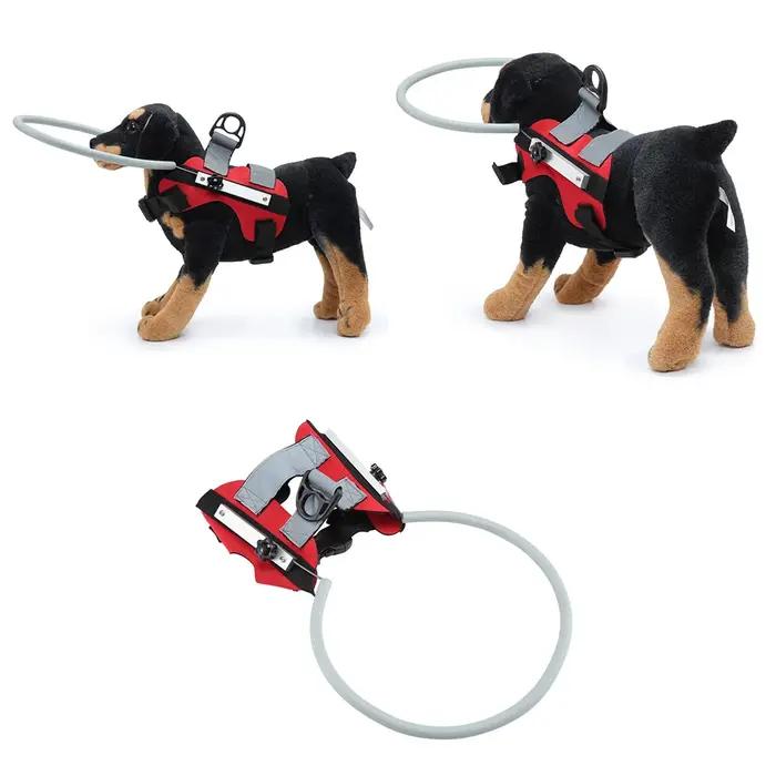 Collier anti-collision aveugle pour animaux de compagnie