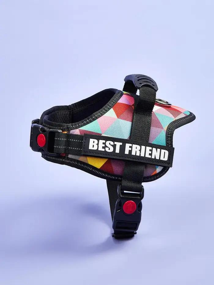DOG FAVORS – harnais coloré pour chien