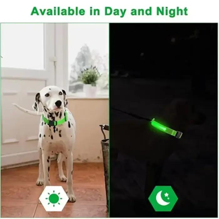 Collier de chien lumineux LED réglable clignotant Rechargea