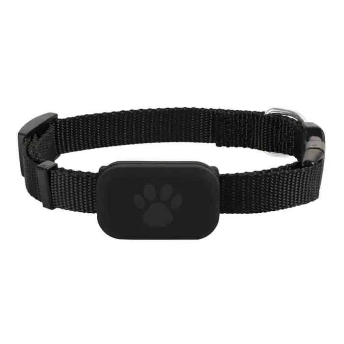 Collier pour animaux de compagnie avec GPS étanche