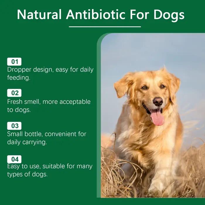 Supplément multivitaminique stimulant l'immune pour chiens