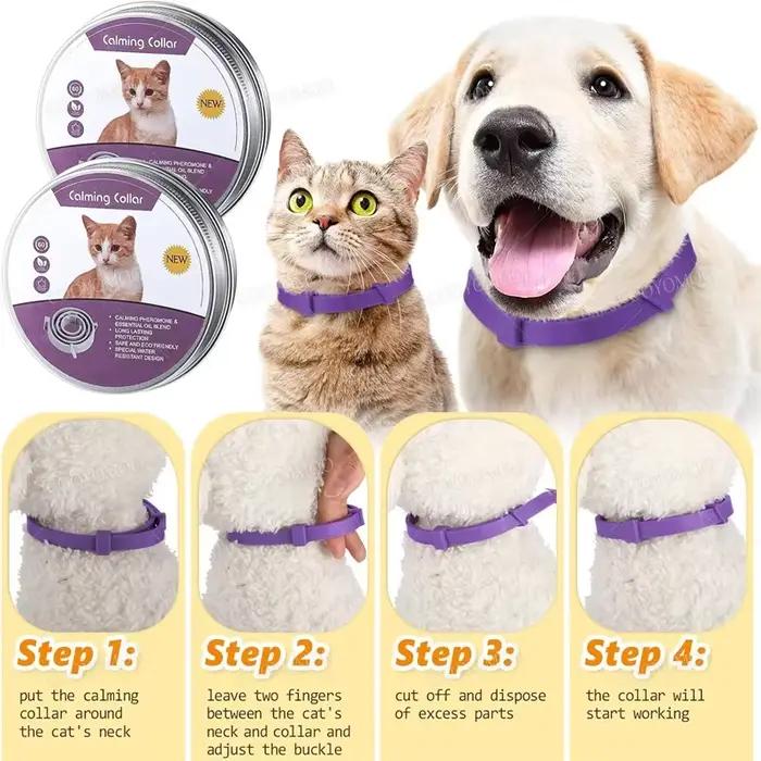 Collier apaisant aux phéromones pour chien et chat