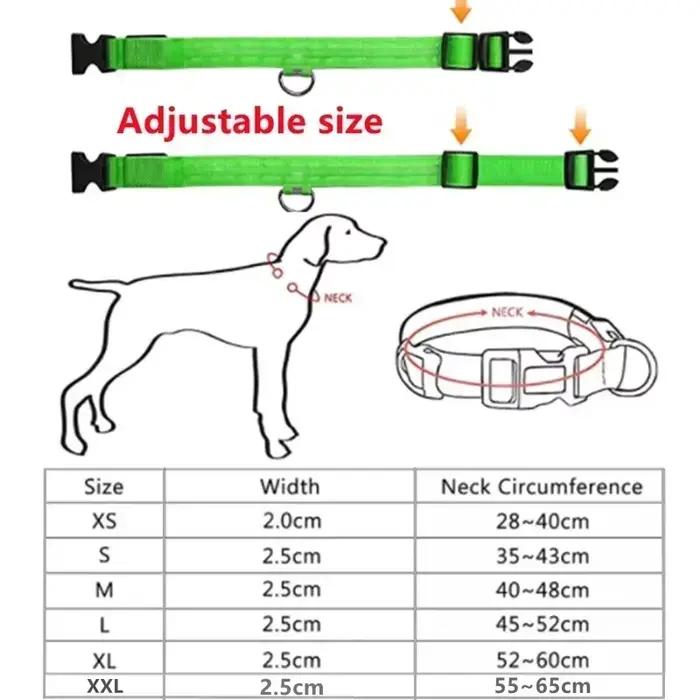 Collier de chien lumineux LED réglable clignotant Rechargea