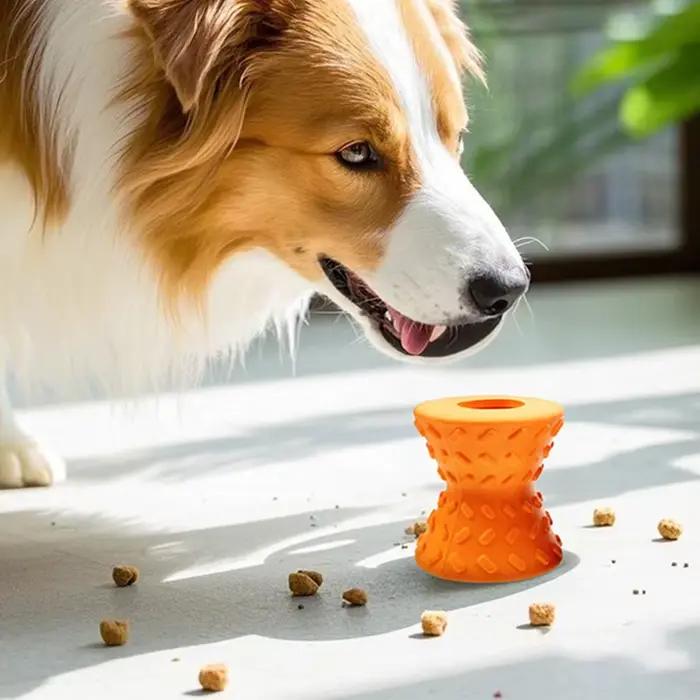 Jouets à mâcher en caoutchouc durables pour chiens