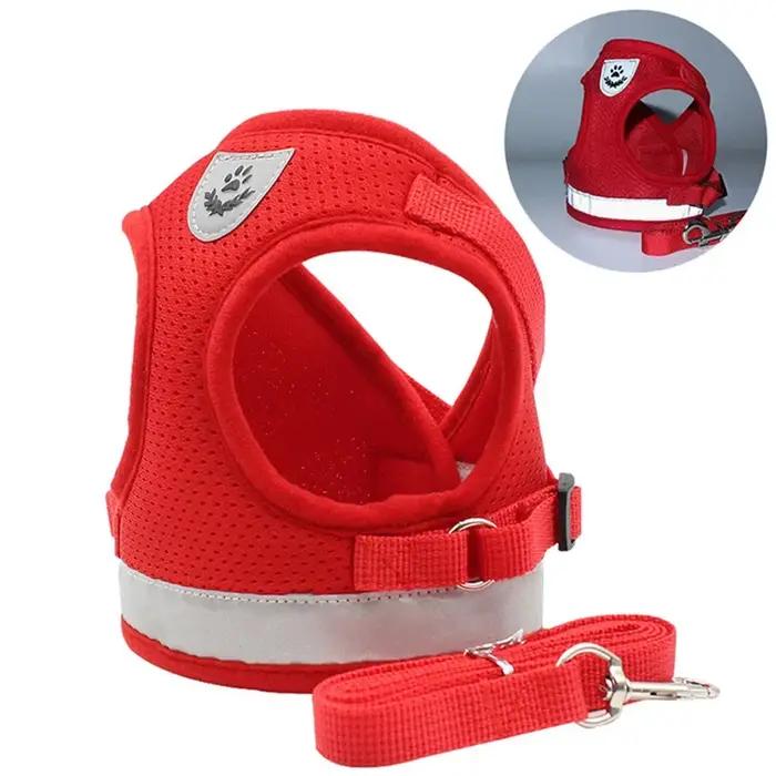 Harnais pour chat, ensemble de laisse en plomb