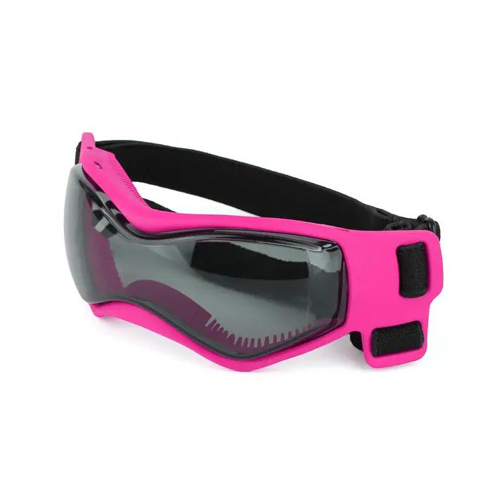Lunettes de Protection UV pour chiens et chats