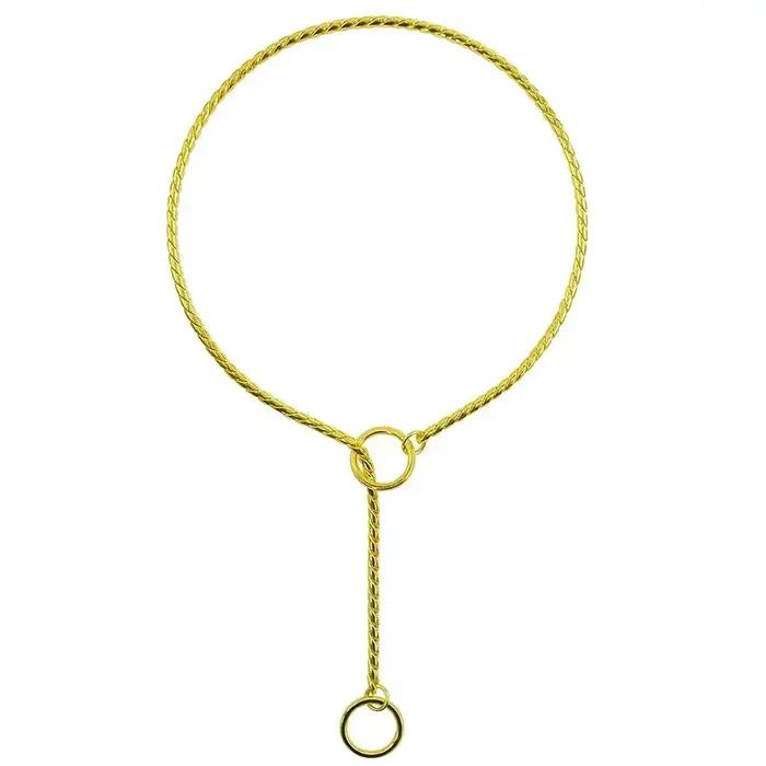 Collier ras du cou en acier inoxydable pour chiens