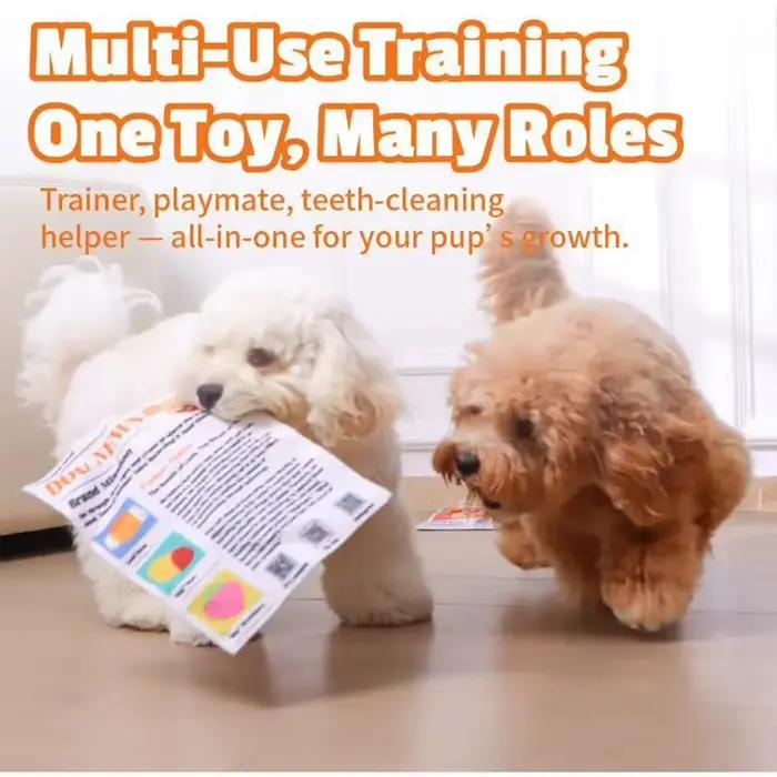 Jouet pour chien en forme de journal indestructible