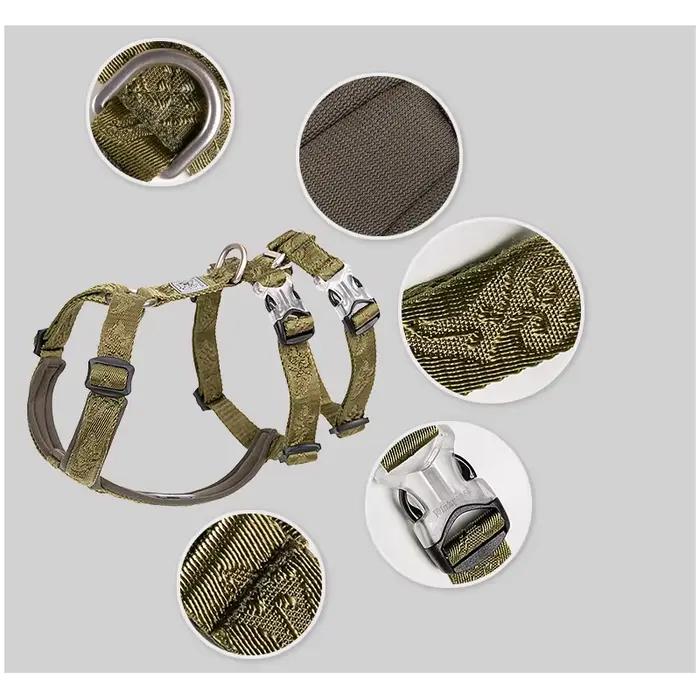 Nylon SFP Double-H personnalisé pour chien