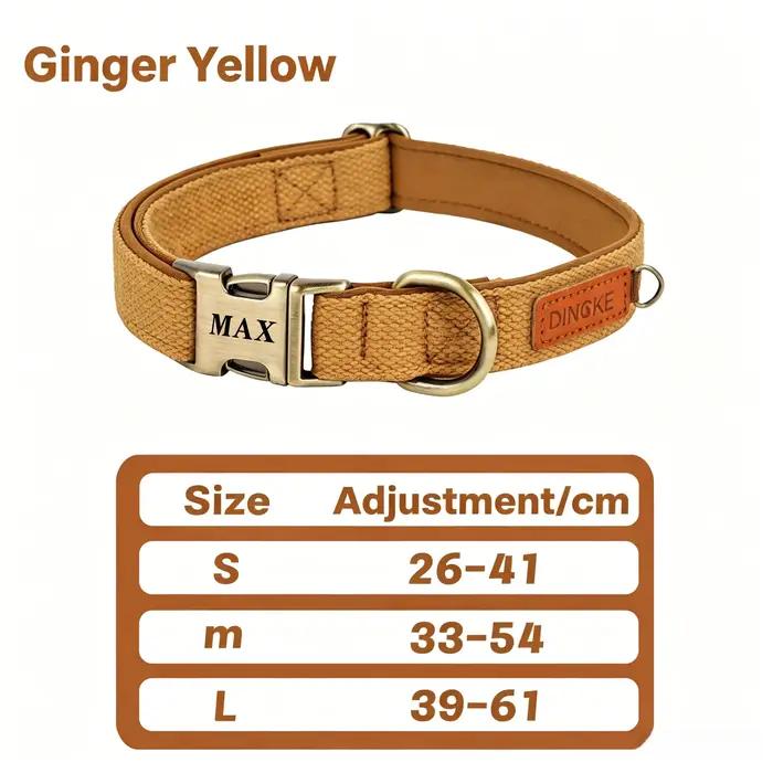 Collier personnalisé pour chien en nylon