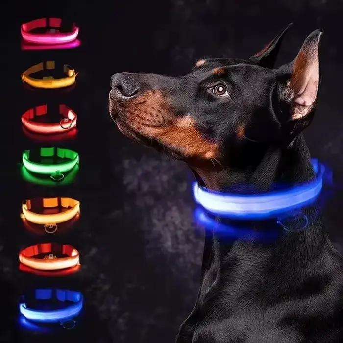 Collier de chien lumineux LED réglable clignotant Rechargea