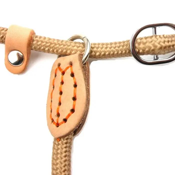 Laisse pour chien, corde antidérapante, laisse en plomb, tressée, robuste, collier à boucle réglable