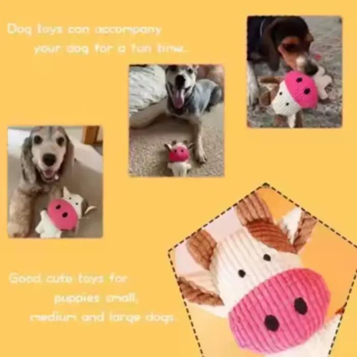 Nouveau jouet pour chien pour la dentition et le soulagement de l'ennui
