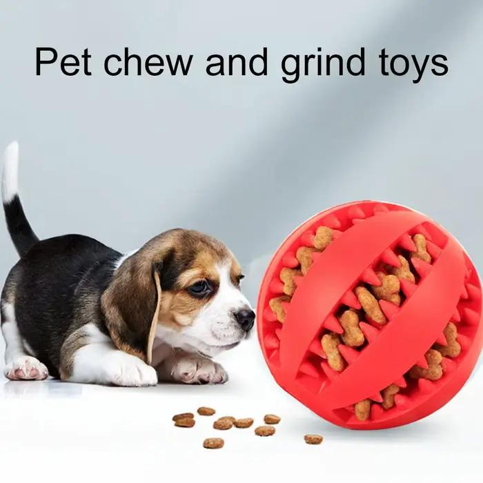 Jouet de nettoyage dentaire pour chien