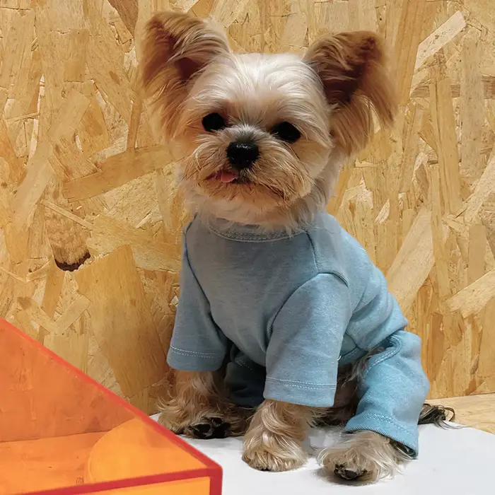 Vêtements pour chiens en pur coton 5 couleurs pyjama pour chien garçon et fille Onesies pour petits