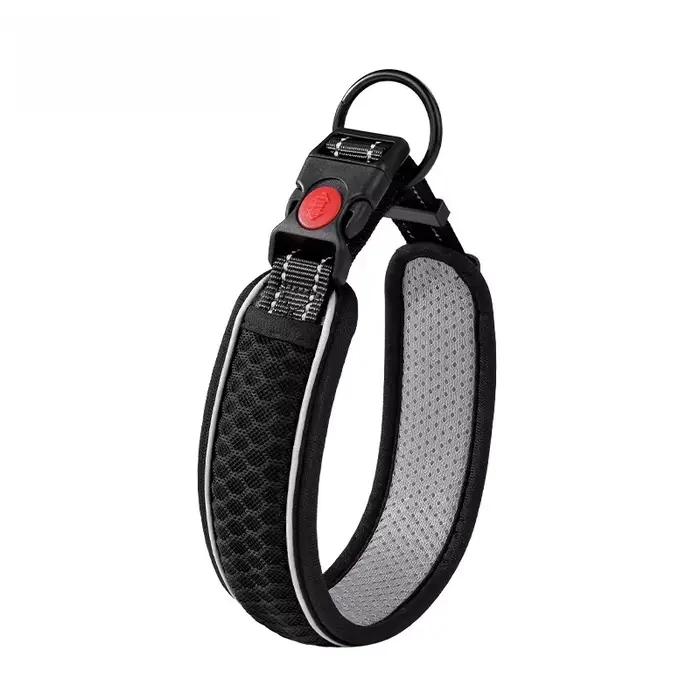 Collier pour animaux de compagnie, collier de cou, ensemble de cou, laisse de marche pour chien, chaîne pour chien, collier, collier pour chien de compagnie