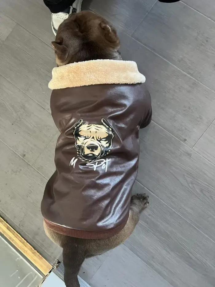 Carlin chien manteau veste hiver bouledogue français vêtements Schnauzer américain Bully Pitbull