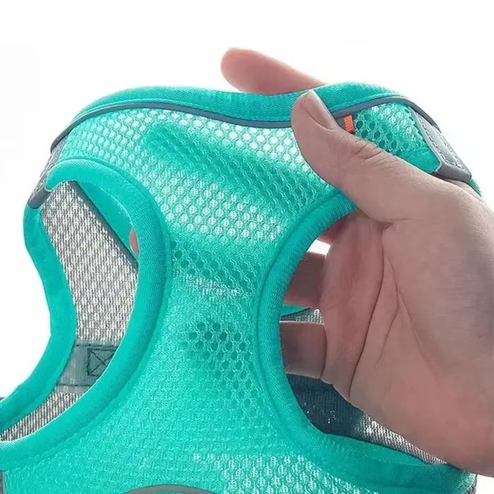 Ensemble d'accessoires réglables pour chiots et chats