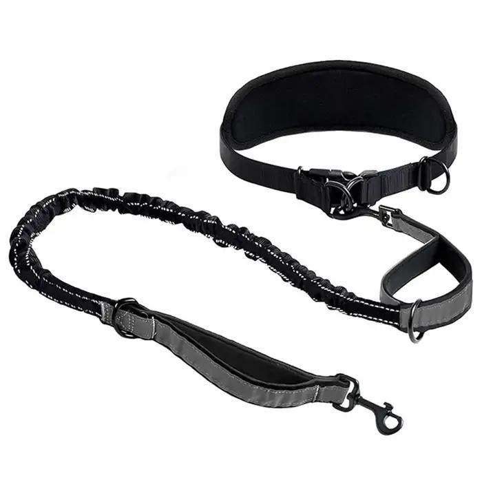 Laisse pour chien mains libres avec ceinture de soutien lombaire