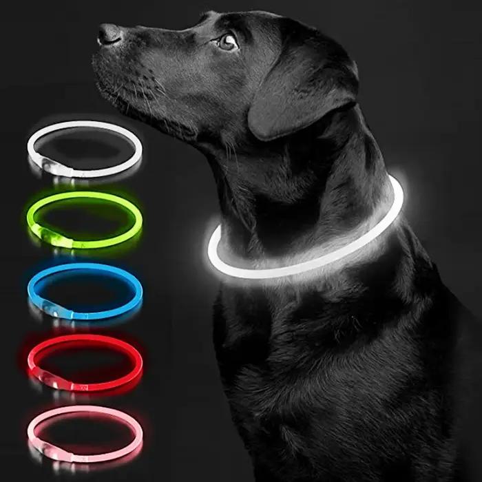 Collier lumineux LED USB pour chien
