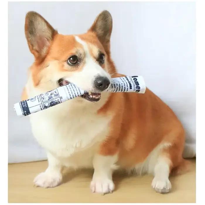 Jouets pour chiens amusants résistants aux morsures