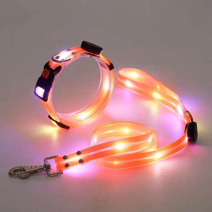 Collier lumineux pour animaux de compagnie